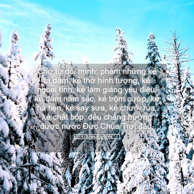 Picture 05 - 1 Cô-rinh-tô 6:10 VIE - Chớ tự dối mình: phàm những kẻ tà - Bible Verse Picture