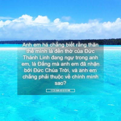 Picture 05 - 1 Cô-rinh-tô 6:19 VIE - Anh em há chẳng biết rằng thân thể - Bible Verse Picture