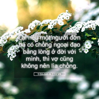 Picture 05 - 1 Cô-rinh-tô 7:13 VIE - Lại nếu một người đờn bà có chồng - Bible Verse Picture
