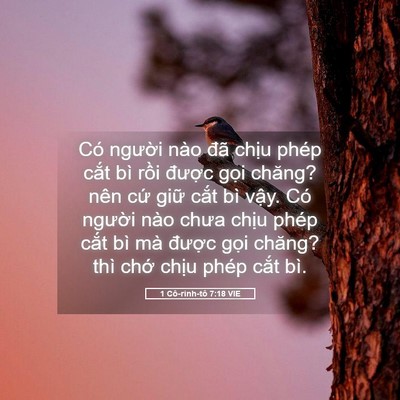 Picture 05 - 1 Cô-rinh-tô 7:18 VIE - Có người nào đã chịu phép cắt bì - Bible Verse Picture