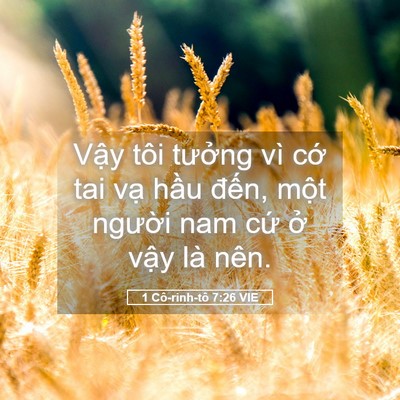 Picture 05 - 1 Cô-rinh-tô 7:26 VIE - Vậy tôi tưởng vì cớ tai vạ hầu - Bible Verse Picture