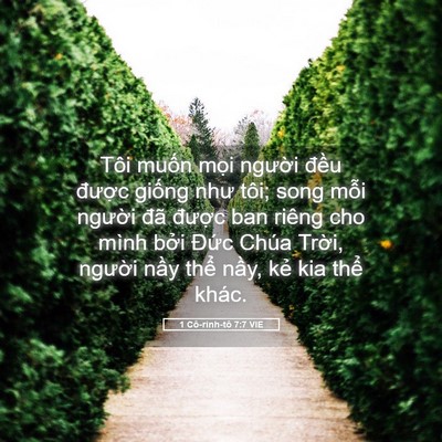 Picture 05 - 1 Cô-rinh-tô 7:7 VIE - Tôi muốn mọi người đều được - Bible Verse Picture