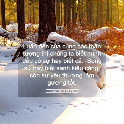 Picture 05 - 1 Cô-rinh-tô 8:1 VIE - Luận đến của cúng các thần tượng - Bible Verse Picture