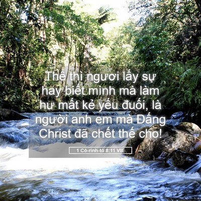Picture 05 - 1 Cô-rinh-tô 8:11 VIE - Thế thì ngươi lấy sự hay biết mình - Bible Verse Picture