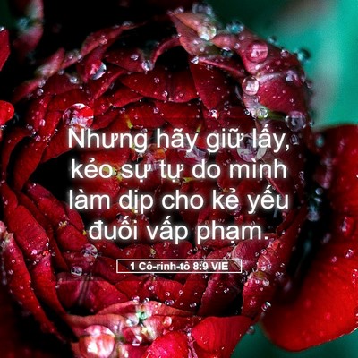 Picture 05 - 1 Cô-rinh-tô 8:9 VIE - Nhưng hãy giữ lấy, kẻo sự tự do mình - Bible Verse Picture