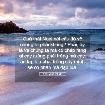 Picture 05 - 1 Cô-rinh-tô 9:10 VIE - Quả thật Ngài nói câu đó về chúng ta - Bible Verse Picture