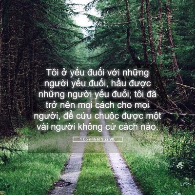 Picture 05 - 1 Cô-rinh-tô 9:22 VIE - Tôi ở yếu đuối với những người - Bible Verse Picture