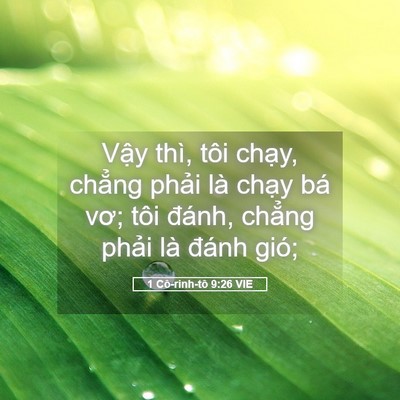 Picture 05 - 1 Cô-rinh-tô 9:26 VIE - Vậy thì, tôi chạy, chẳng phải là - Bible Verse Picture