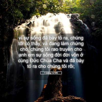 Picture 05 - 1 Giăng 1:2 VIE - vì sự sống đã bày tỏ ra, chúng tôi - Bible Verse Picture