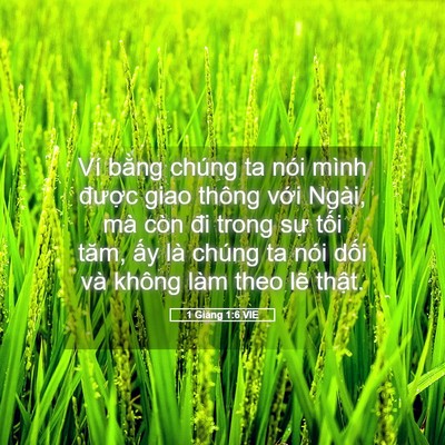 Picture 05 - 1 Giăng 1:6 VIE - Ví bằng chúng ta nói mình được giao - Bible Verse Picture