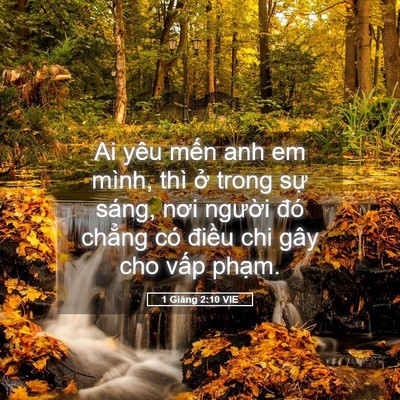 Picture 05 - 1 Giăng 2:10 VIE - Ai yêu mến anh em mình, thì ở trong sự - Bible Verse Picture