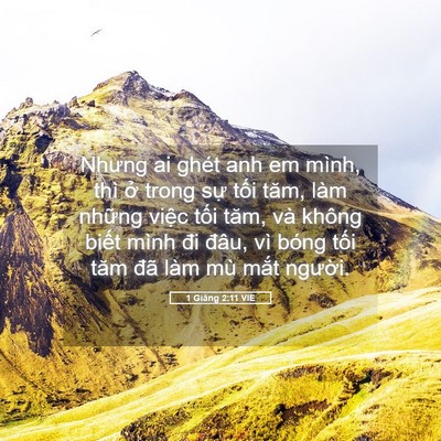 Picture 05 - 1 Giăng 2:11 VIE - Nhưng ai ghét anh em mình, thì ở trong sự - Bible Verse Picture