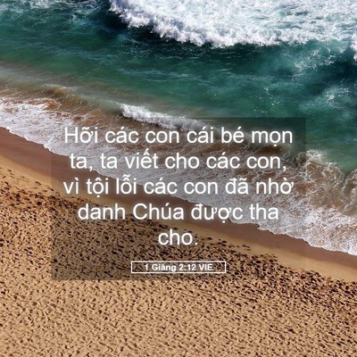 Picture 05 - 1 Giăng 2:12 VIE - Hỡi các con cái bé mọn ta, ta viết cho - Bible Verse Picture
