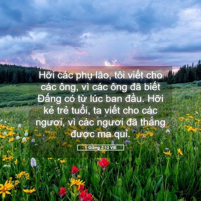 Picture 05 - 1 Giăng 2:13 VIE - Hỡi các phụ lão, tôi viết cho các ông, - Bible Verse Picture