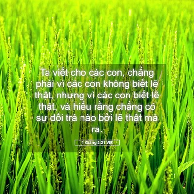 Picture 05 - 1 Giăng 2:21 VIE - Ta viết cho các con, chẳng phải vì các - Bible Verse Picture