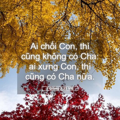 Picture 05 - 1 Giăng 2:23 VIE - Ai chối Con, thì cũng không có Cha: ai - Bible Verse Picture