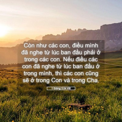 Picture 05 - 1 Giăng 2:24 VIE - Còn như các con, điều mình đã nghe từ - Bible Verse Picture