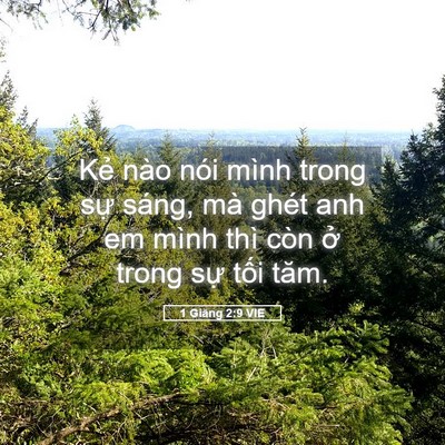 Picture 05 - 1 Giăng 2:9 VIE - Kẻ nào nói mình trong sự sáng, mà ghét - Bible Verse Picture