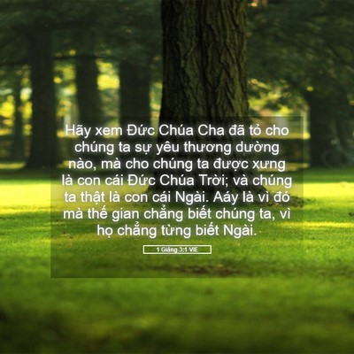 Picture 05 - 1 Giăng 3:1 VIE - Hãy xem Đức Chúa Cha đã tỏ cho chúng ta - Bible Verse Picture