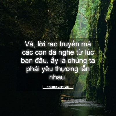 Picture 05 - 1 Giăng 3:11 VIE - Vả, lời rao truyền mà các con đã nghe - Bible Verse Picture