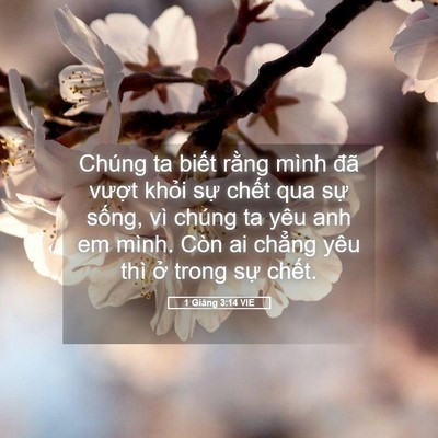 Picture 05 - 1 Giăng 3:14 VIE - Chúng ta biết rằng mình đã vượt khỏi - Bible Verse Picture