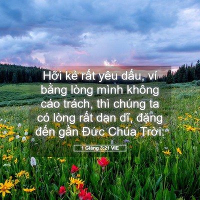 Picture 05 - 1 Giăng 3:21 VIE - Hỡi kẻ rất yêu dấu, ví bằng lòng - Bible Verse Picture