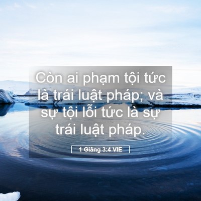 Picture 05 - 1 Giăng 3:4 VIE - Còn ai phạm tội tức là trái luật - Bible Verse Picture