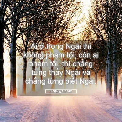 Picture 05 - 1 Giăng 3:6 VIE - Ai ở trong Ngài thì không phạm tội; còn - Bible Verse Picture