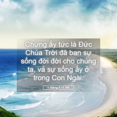 Picture 05 - 1 Giăng 5:11 VIE - Chừng ấy tức là Đức Chúa Trời đã - Bible Verse Picture