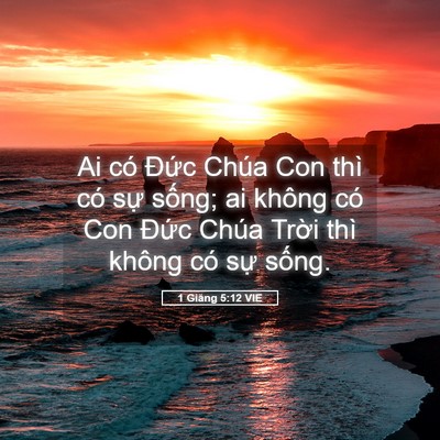 Picture 05 - 1 Giăng 5:12 VIE - Ai có Đức Chúa Con thì có sự sống; ai - Bible Verse Picture