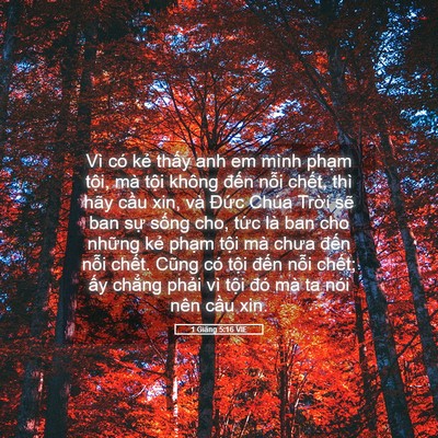 Picture 05 - 1 Giăng 5:16 VIE - Vì có kẻ thấy anh em mình phạm tội, - Bible Verse Picture