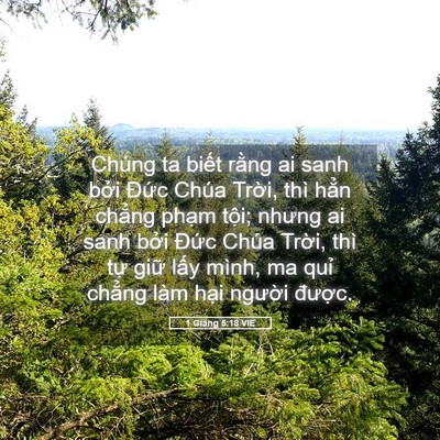 Picture 05 - 1 Giăng 5:18 VIE - Chúng ta biết rằng ai sanh bởi Đức - Bible Verse Picture