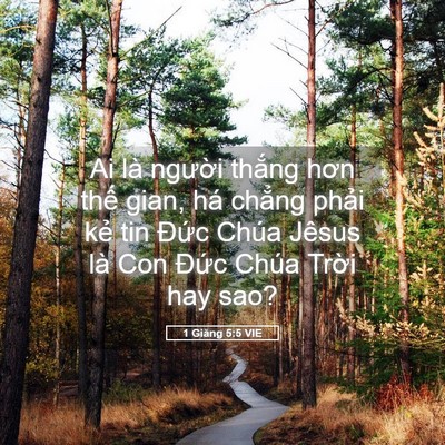 Picture 05 - 1 Giăng 5:5 VIE - Ai là người thắng hơn thế gian, há - Bible Verse Picture