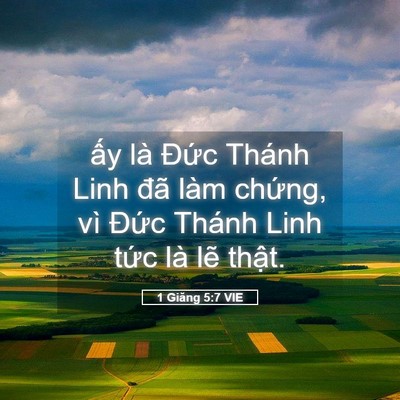 Picture 05 - 1 Giăng 5:7 VIE - ấy là Đức Thánh Linh đã làm chứng, - Bible Verse Picture