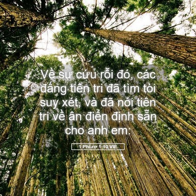 Picture 05 - 1 Phi-rơ 1:10 VIE - Về sự cứu rỗi đó, các đấng tiên - Bible Verse Picture