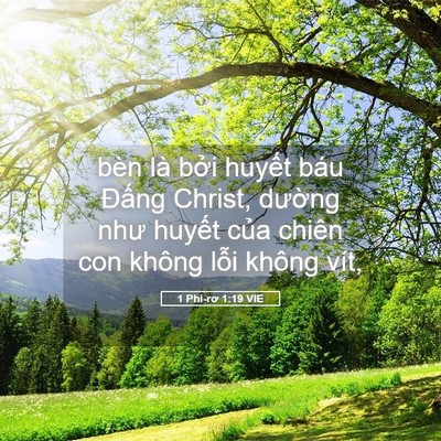 Picture 05 - 1 Phi-rơ 1:19 VIE - bèn là bởi huyết báu Đấng Christ, - Bible Verse Picture