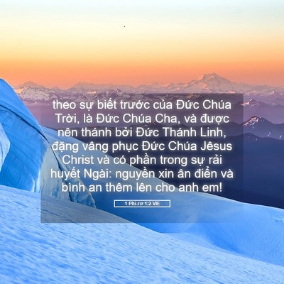 Picture 05 - 1 Phi-rơ 1:2 VIE - theo sự biết trước của Đức Chúa - Bible Verse Picture