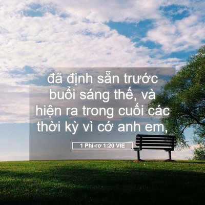 Picture 05 - 1 Phi-rơ 1:20 VIE - đã định sẵn trước buổi sáng thế, - Bible Verse Picture