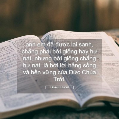 Picture 05 - 1 Phi-rơ 1:23 VIE - anh em đã được lại sanh, chẳng phải - Bible Verse Picture