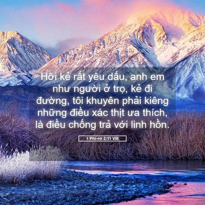 Picture 05 - 1 Phi-rơ 2:11 VIE - Hỡi kẻ rất yêu dấu, anh em như người - Bible Verse Picture
