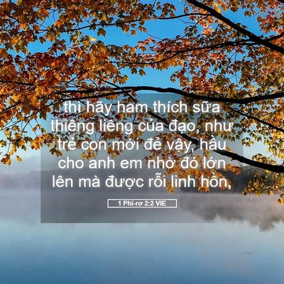 Picture 05 - 1 Phi-rơ 2:2 VIE - thì hãy ham thích sữa thiêng liêng của - Bible Verse Picture