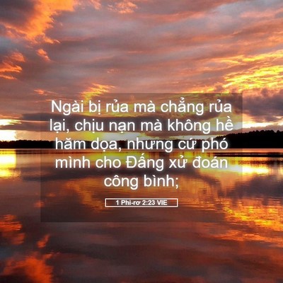 Picture 05 - 1 Phi-rơ 2:23 VIE - Ngài bị rủa mà chẳng rủa lại, chịu - Bible Verse Picture