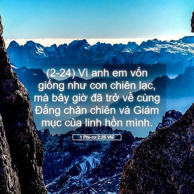 Picture 05 - 1 Phi-rơ 2:25 VIE - (2-24) Vì anh em vốn giống như con chiên - Bible Verse Picture