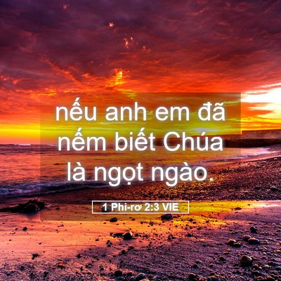 Picture 05 - 1 Phi-rơ 2:3 VIE - nếu anh em đã nếm biết Chúa là ngọt - Bible Verse Picture