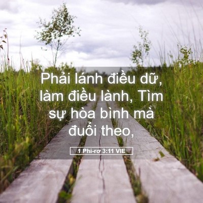 Picture 05 - 1 Phi-rơ 3:11 VIE - Phải lánh điều dữ, làm điều lành, - Bible Verse Picture