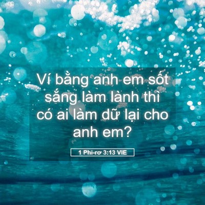 Picture 05 - 1 Phi-rơ 3:13 VIE - Ví bằng anh em sốt sắng làm lành thì - Bible Verse Picture
