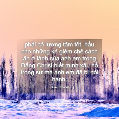 Picture 05 - 1 Phi-rơ 3:16 VIE - phải có lương tâm tốt, hầu cho những - Bible Verse Picture