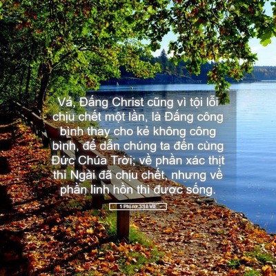 Picture 05 - 1 Phi-rơ 3:18 VIE - Vả, Đấng Christ cũng vì tội lỗi chịu - Bible Verse Picture
