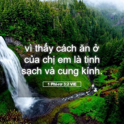 Picture 05 - 1 Phi-rơ 3:2 VIE - vì thấy cách ăn ở của chị em là tinh - Bible Verse Picture