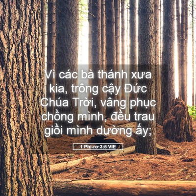 Picture 05 - 1 Phi-rơ 3:5 VIE - Vì các bà thánh xưa kia, trông cậy Đức - Bible Verse Picture